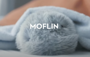 Moflin モフリン+oleiroalvesimoveis.com.br